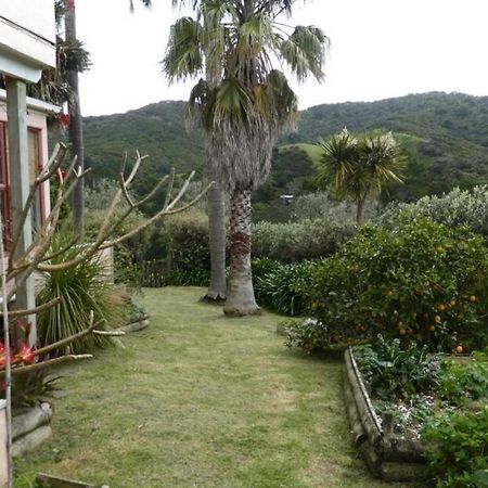 Great Barrier Oasis Lodge Tryphena Buitenkant foto